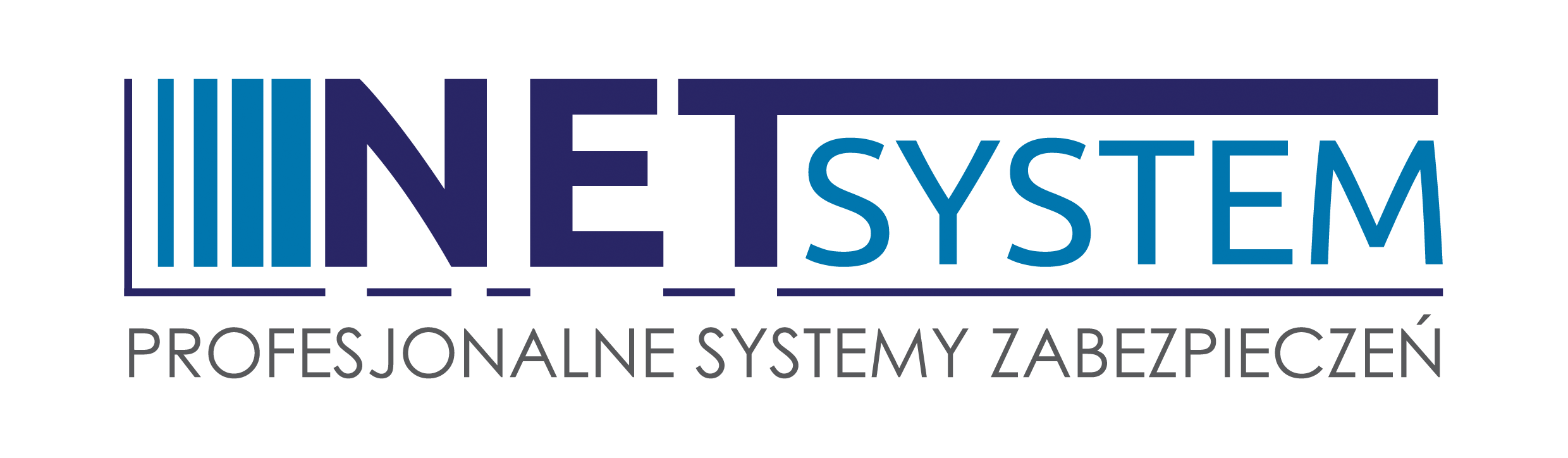 NetSystem